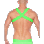 TASTE Neon Collection Harness | Neon Green