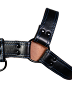 ruff GEAR RAW  Leather Bulldog Harness Black Royal