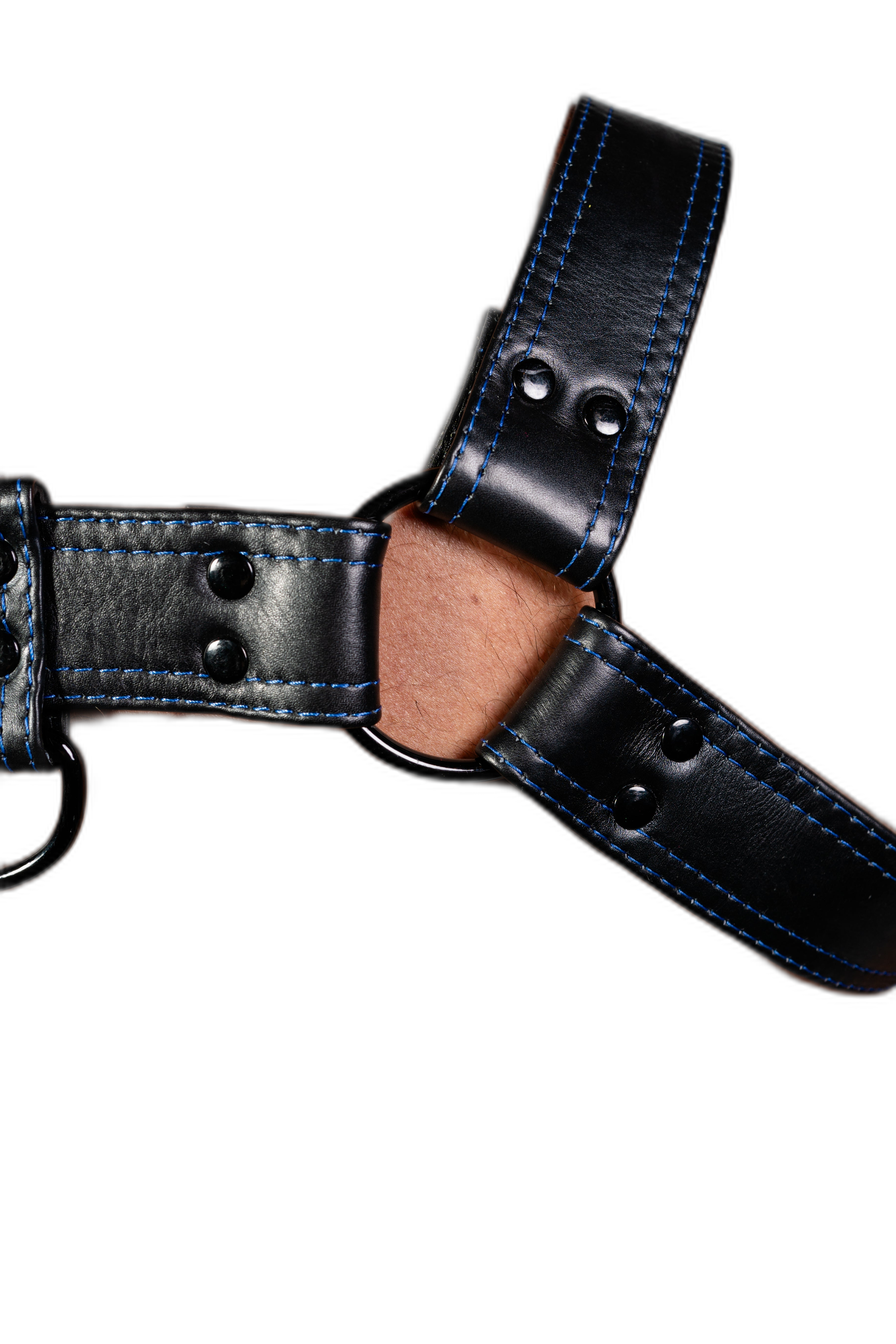 ruff GEAR RAW  Leather Bulldog Harness Black Royal