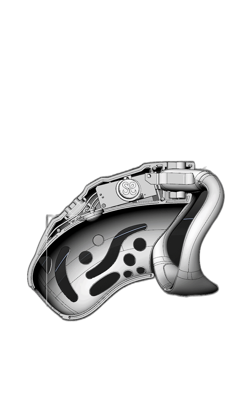 Remote Control Shock Chastity Cage