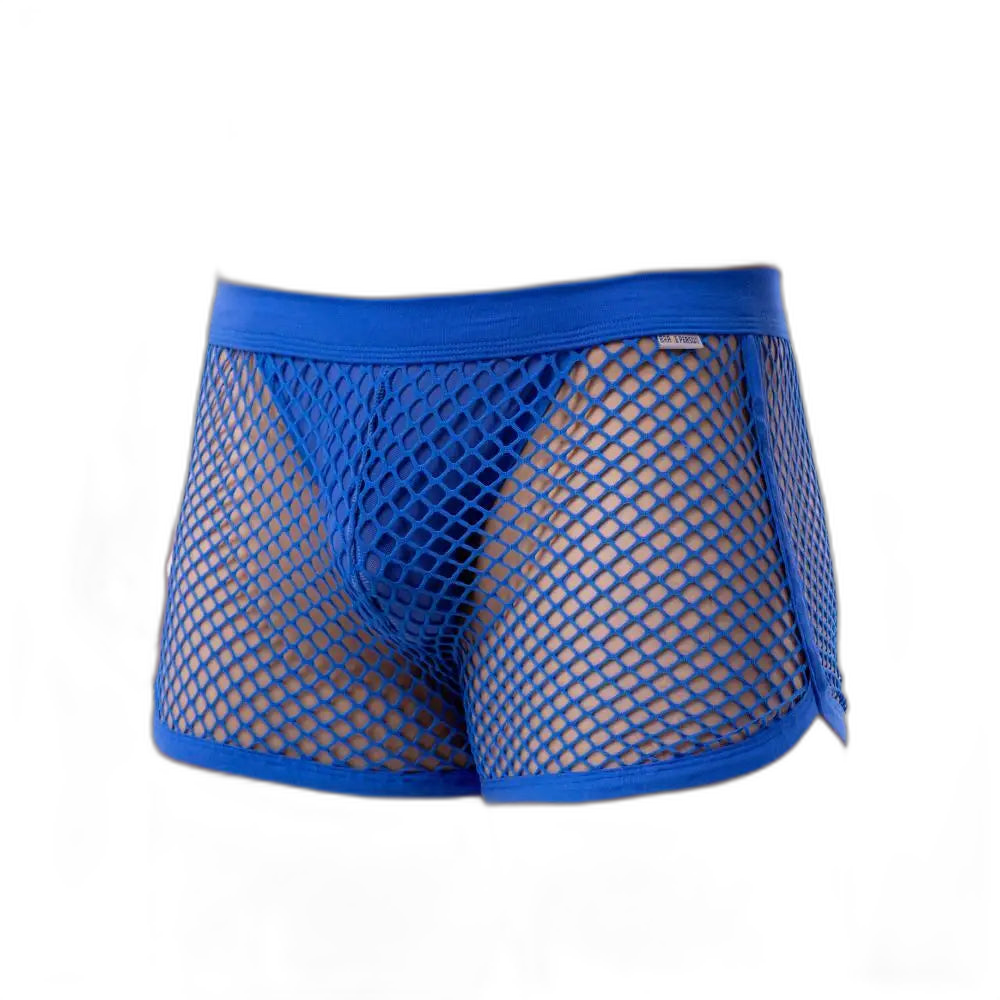 AllureFit Sexy Mesh Boxers Briefs