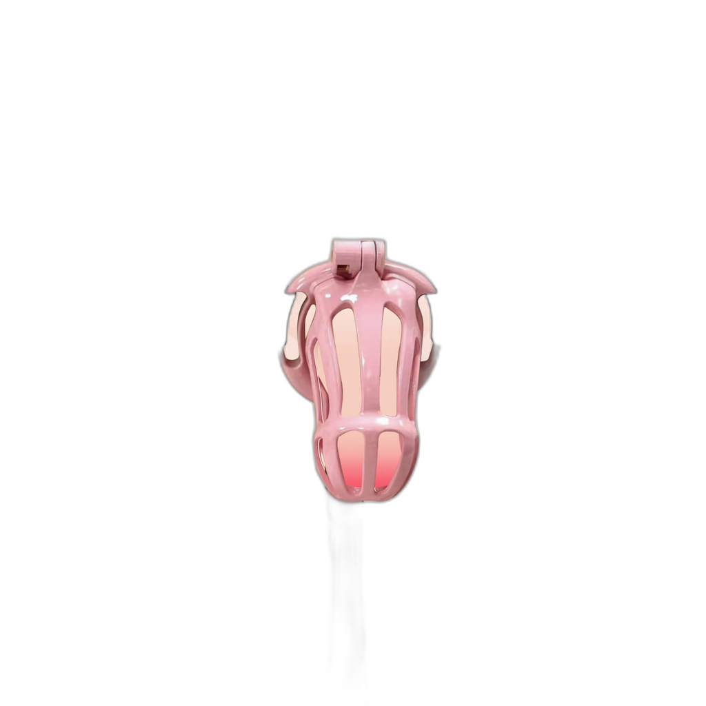 Damian Chastity Cage