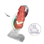 Muscle - Monster Dildo - Beast Dildo - 5 Sizes