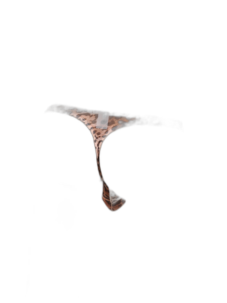 4 Pack Leopard Print See-through Mesh Thongs