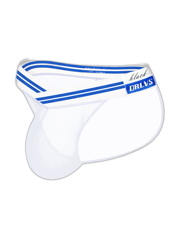 2-pack Men's Sexy Semi-transparent Mesh Briefs