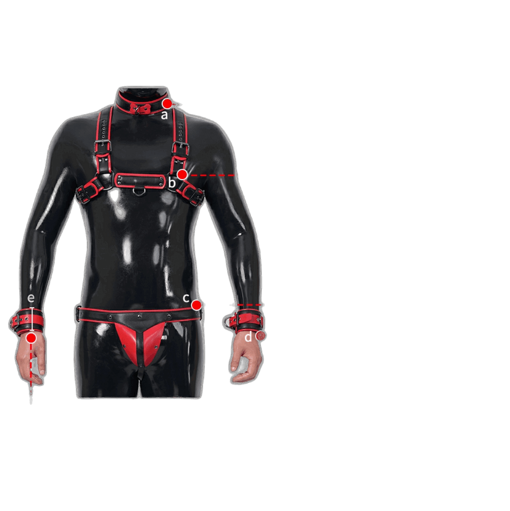 Furrjoi Harness, Cuff, Collar, Lead Underwear Bundle Red