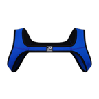 Shoulder Harness