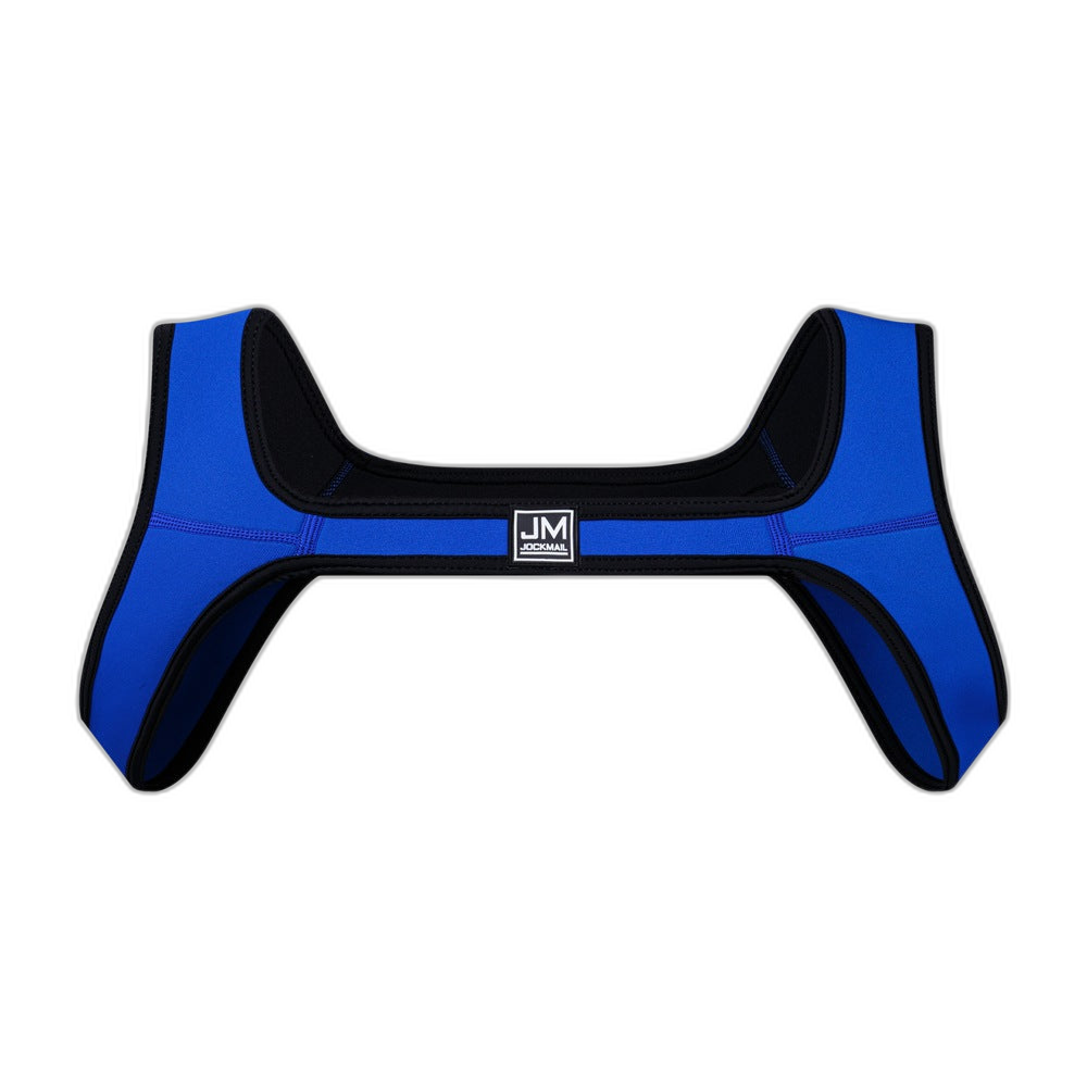 Shoulder Harness