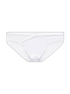 2 Pack Men's Ultra-Soft Modal Breathable Mesh Ice Silk Briefs