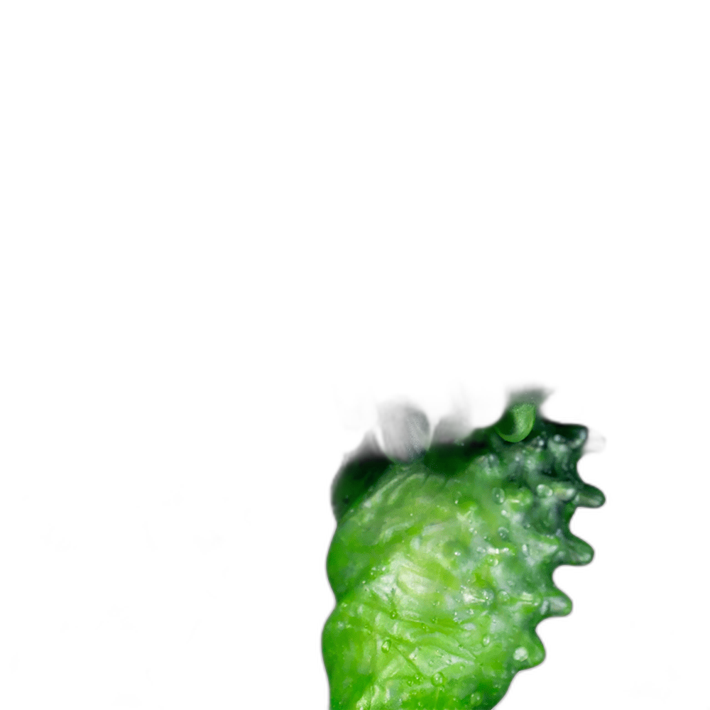 Voidspike - Fantasy Silicone Dildo - Spiked Monster Dildo - 5 Sizes