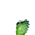 Voidspike - Fantasy Silicone Dildo - Spiked Monster Dildo - 5 Sizes