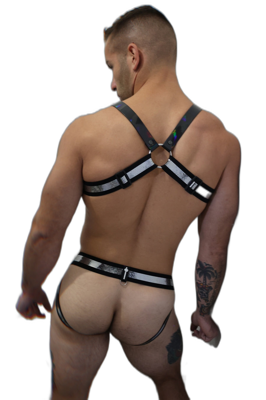 Breedwell Illuminator Bulldog Harness Black Holo