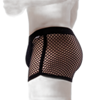 AllureFit Sexy Mesh Boxers Briefs