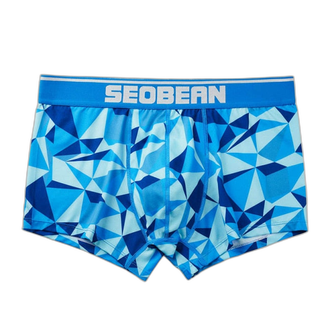Seobean Geometric Boxers