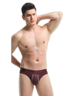 Anion Pit Massage Breathable Briefs Underwear