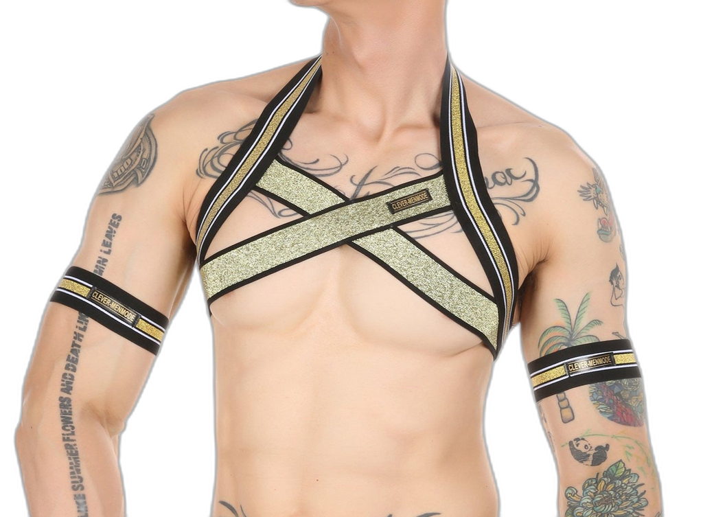 Gold Glitter Harness