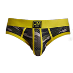 Camo Mesh Briefs