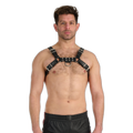 Prowler RED Leather Bull Harness Black