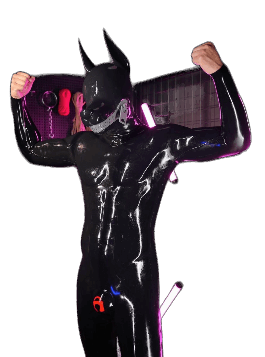 Furrjoi Zipper Dog Hood