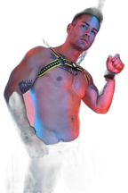 Breedwell Daddys Favourite Bulldog Harness Yellow