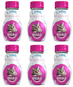 6 x Whiskas Cat Milk 200Ml