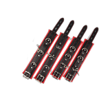 Full Access Bar Restraint System