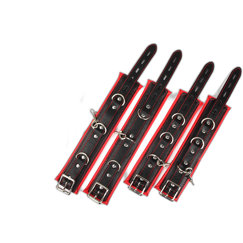 Full Access Bar Restraint System