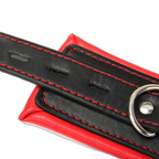 Full Access Bar Restraint System