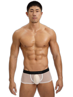 2-Pack Men's Breathable Mesh Ice Silk U-convex Low Waist Boxer Briefs