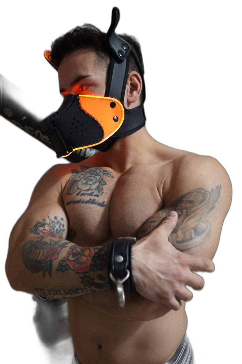 Breedwell Poundtown Pup Mask 2.0 Neon Orange