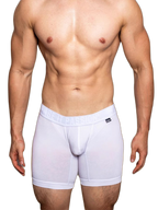 2 Pack Men's Trendy Breathable Ice Silk Boxer Briefs