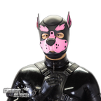 Standard Neoprene Pup Hood