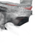 2-Pack Breathable Low Waist U-Convex Semi-Transparent Men's Briefs