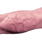 StrongBow - Silicone Centaur Dildo -  6 Sizes