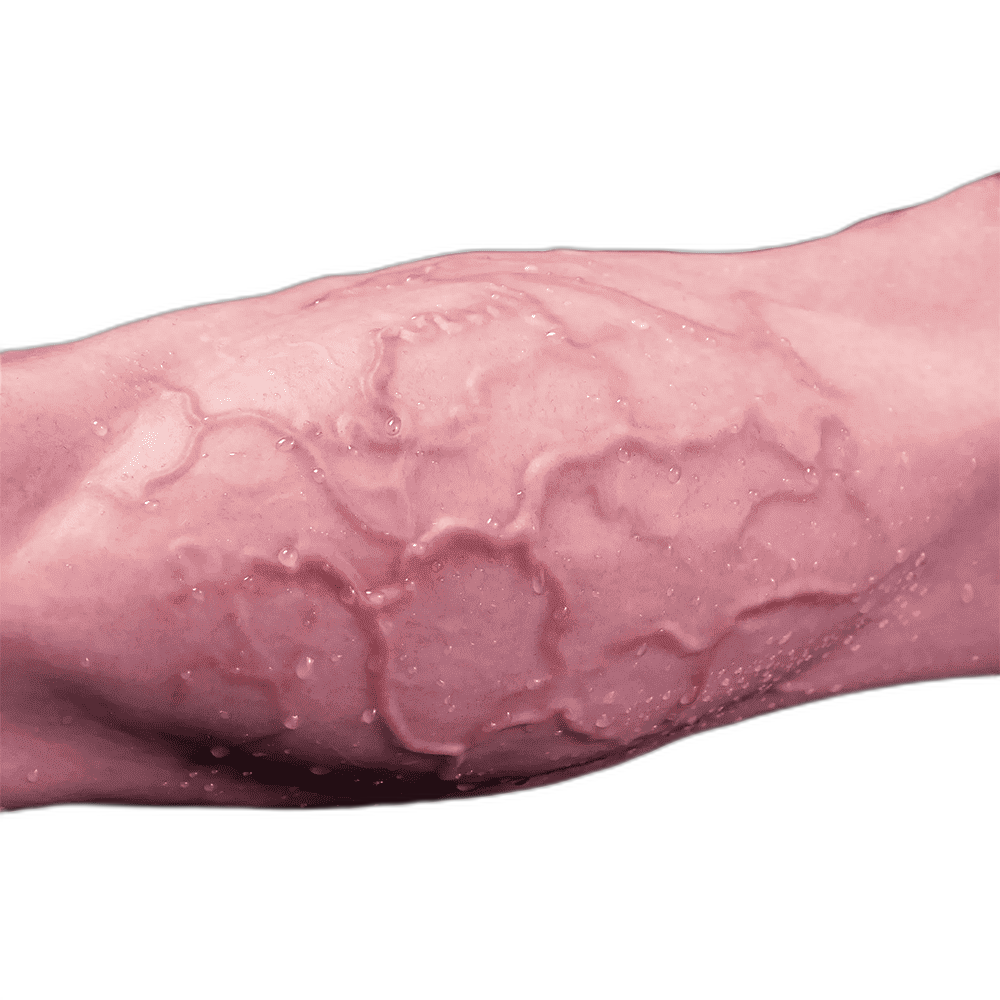 StrongBow - Silicone Centaur Dildo -  6 Sizes
