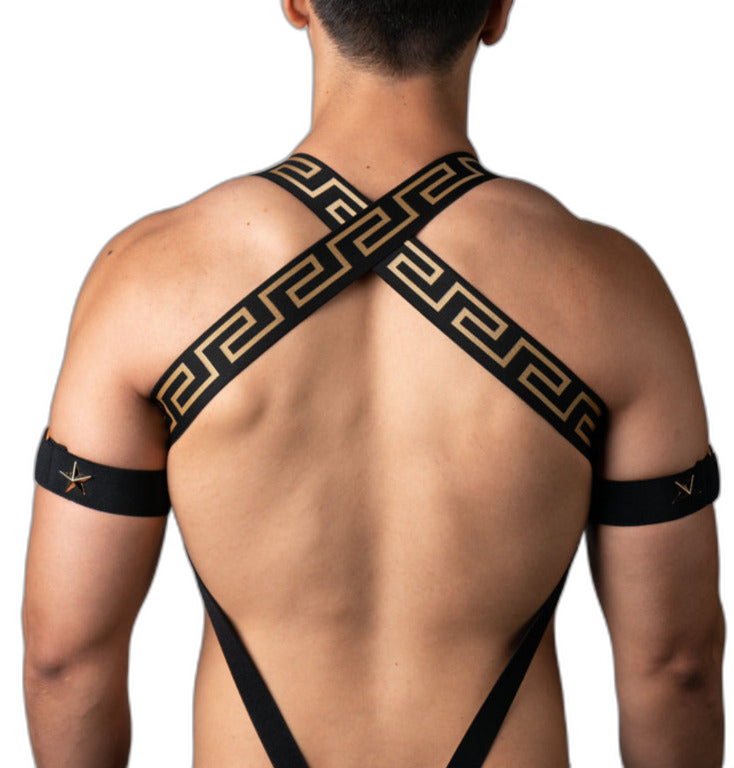 Elegant Gold Star Elastic Harness