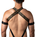 Elegant Gold Star Elastic Harness