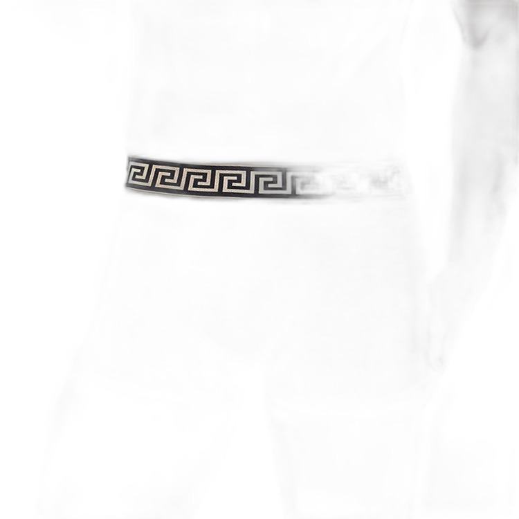 Olympus Boxer Briefs
