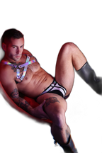 Breedwell Illuminator Bulldog Harness Holo