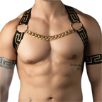 Elegant Gold Chain Elastic Harness