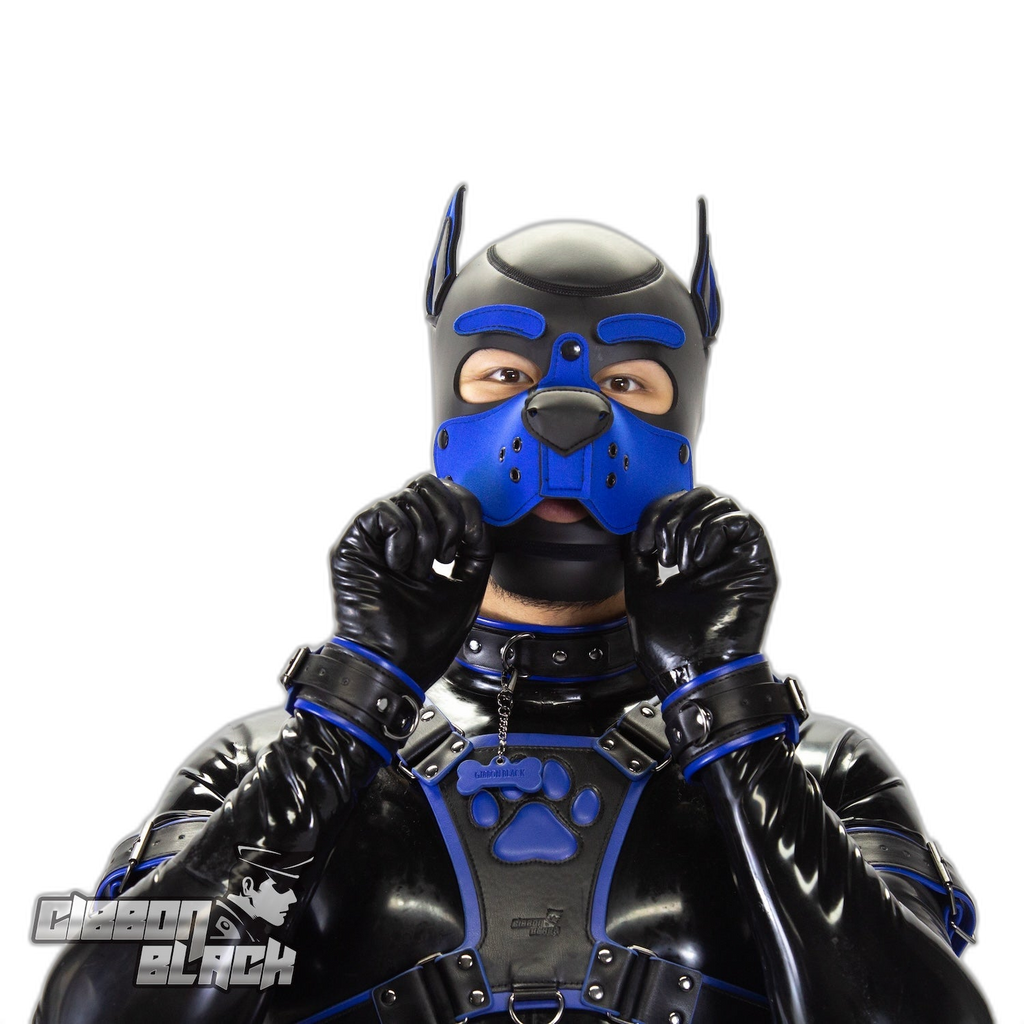 Standard Neoprene Pup Hood