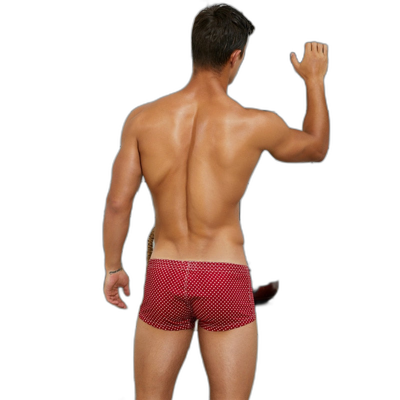 Polka Dot Boxers