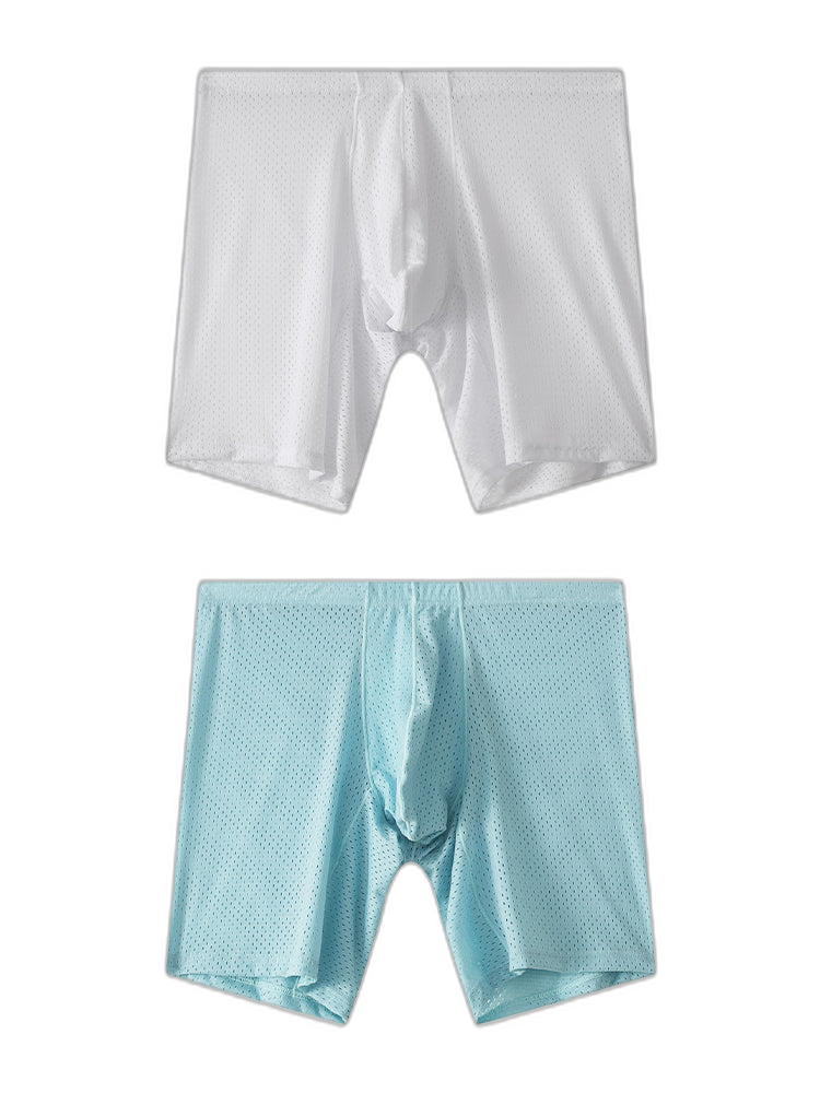 2 Pack Men's Mesh Transparent Sports Fitness Loose Boxer Briefs