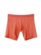 2 Pack Men’s Casual Ice Silk Midway Briefs