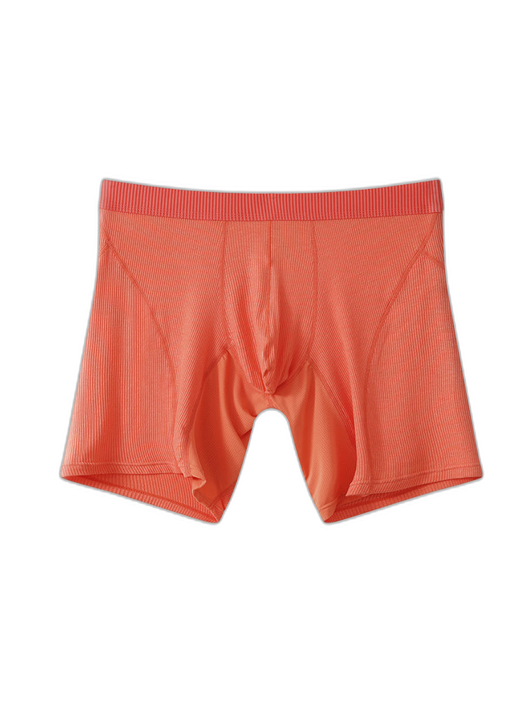 2 Pack Men’s Casual Ice Silk Midway Briefs