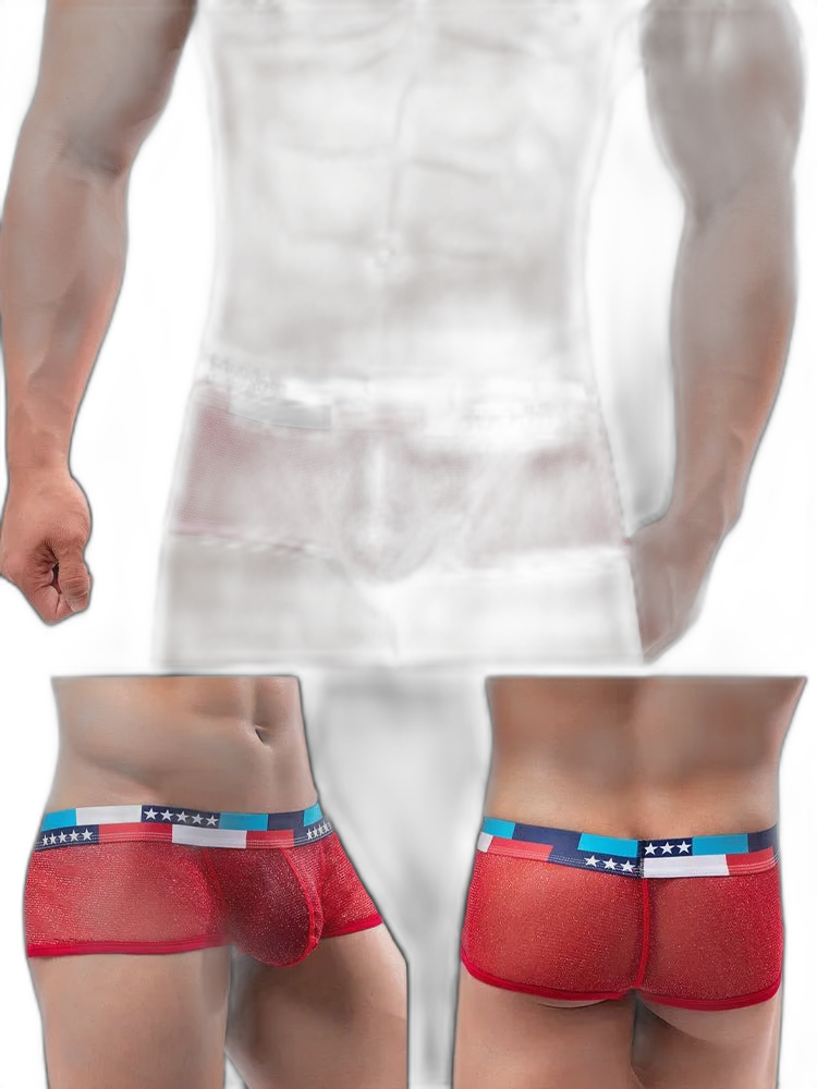 4-pack Low-rise Micro-mesh Boxer Briefs