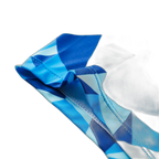 Seobean Geometric Boxers