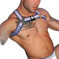 Breedwell Groove Bulldog Harness Blue