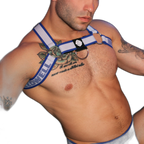 Breedwell Groove Bulldog Harness Blue