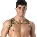 Leader Invictus Harness | Black Gold